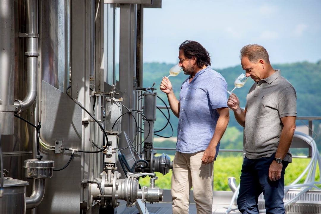 Domaine de Pellehaut