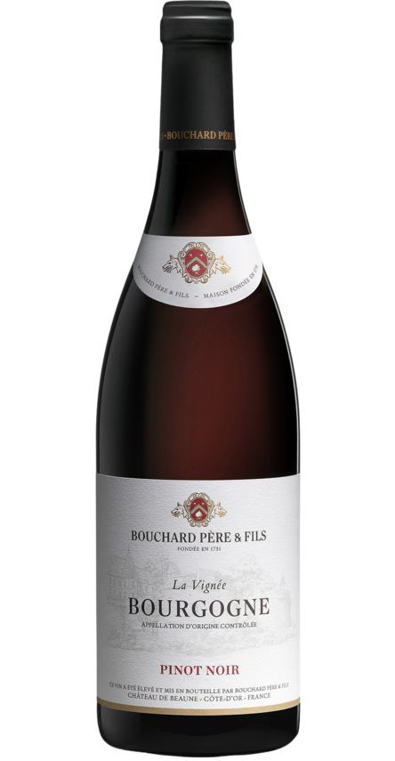 Bourgogne Pinot noir AOC