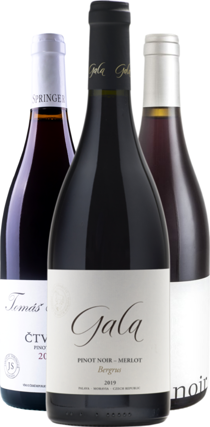 SET Červená moravská elegance