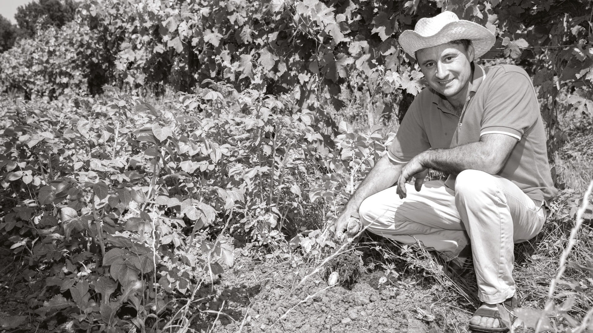 Château Marquisat La Perouse