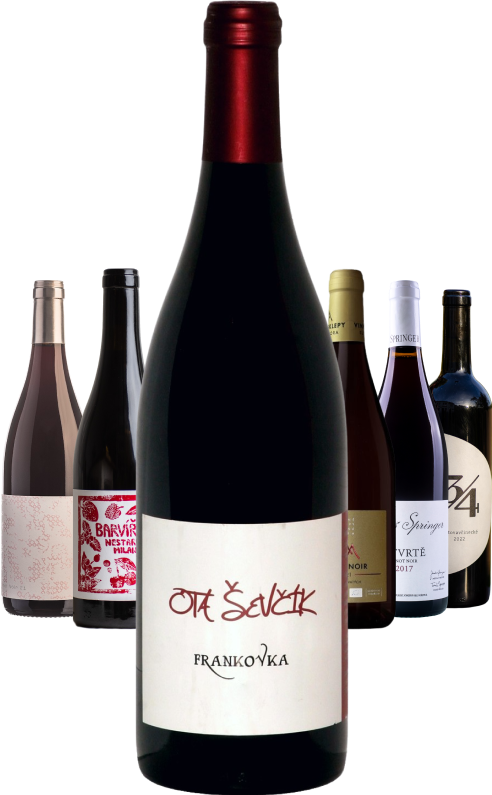 SET Zimní naturální šestka 