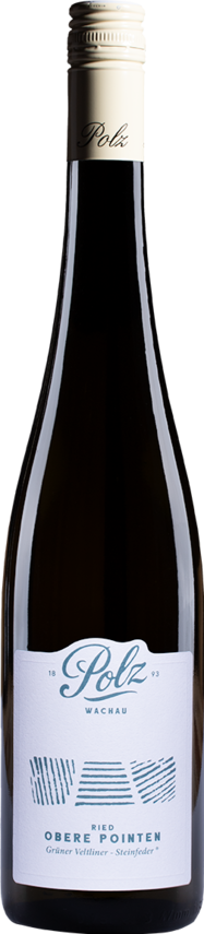 Grüner Veltliner Steinfeder \